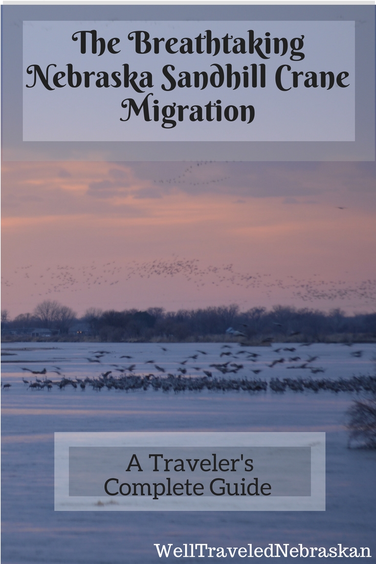 The Breathtaking Nebraska Sandhill Crane Migration: A Traveler's Complete Guide