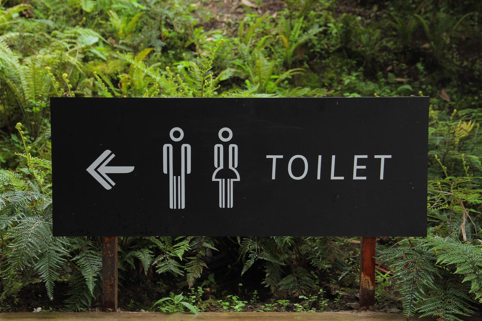 Best Travel Potty Seat: How To Decide Which Is Best For Your Little One